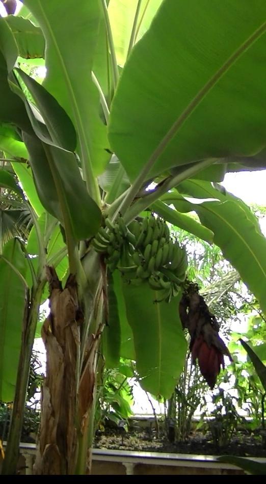 これはわかりますね^^)