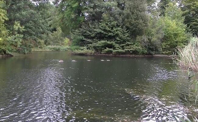 人造湖には見えません。<br /><br />ガーデンの中にSHOPがあるのですが、ガーデニング用品が豊富で欲しいものが沢山ありました＾＾<br />ここで王室御用達の石鹸を購入。<br />香りがすごく良くてトランクに入れると、他に匂いが移るのでステイ先で使いました。1個は衣服にいれて移り香を楽しみました。