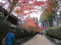 『壇上伽藍』へ続く道。
紅葉がいい感じですね。