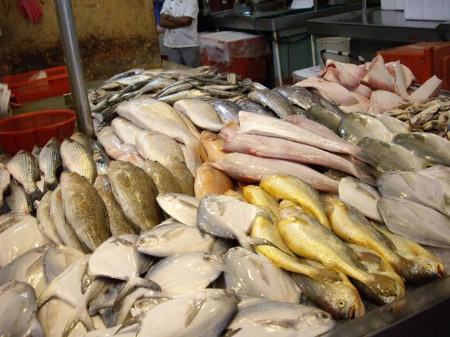 そして、魚が多い。 <br />魚は、生の魚だ。 <br />魚の種類は多い。