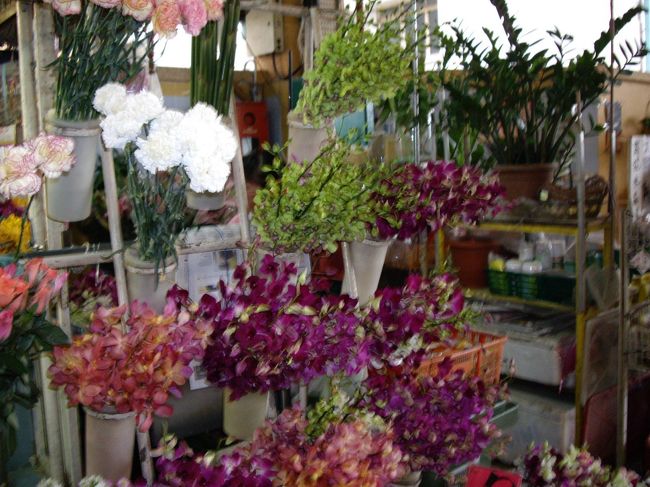 花はやはり熱帯色