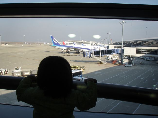 中部国際空港です。<br />娘が３歳（有料）にならないうちに飛行機に乗りたい。という都合で、今回の旅を決断。<br />自宅を早朝5：00出発　気温７℃　さむ〜！<br />中部国際空港　8：50発　JTAです。　気温17℃　２枚服脱ごう。<br />