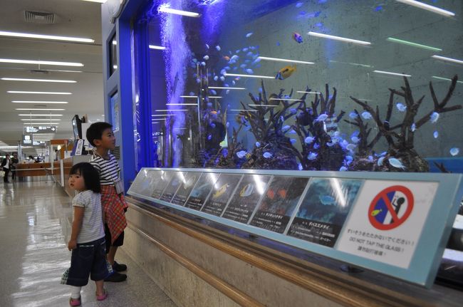 那覇空港です。<br />子供達は吸い寄せられるように、水槽の前に。<br />暑いね。気温27℃。<br />自宅と２０度差だ！<br />もう一枚脱ごう。
