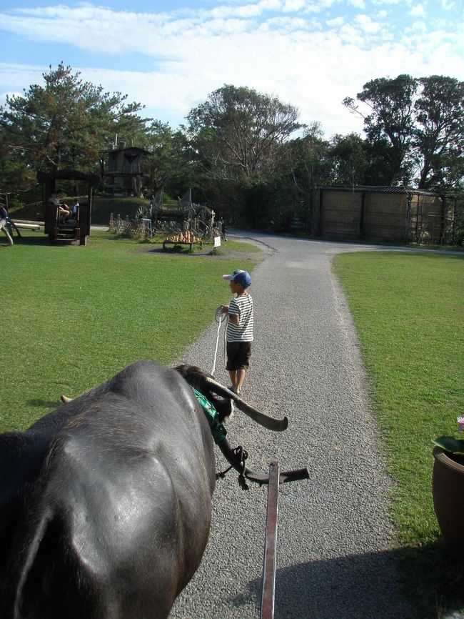 水牛車に乗って、園内を案内してもらいました。<br />おじさんのお話がとっても上手で良かったです。<br />フルーツこうもりの居る場所で止まって、みんなに見せてくれたり、沖縄の話をいろいろしてくれました。<br />今年は台風がいくつも来て、グアバが落ちてしまったことや、沖縄の果物は今年は期待できないことなど、話してくれました。<br />最後には息子に水牛を引っ張らせてくれました。<br />終了後には水牛の背中に乗せてくれ、写真も撮らせてくれました。<br />大人580円　子供380円　約２０分<br />チケットは「おもろ茶屋」で販売しています。