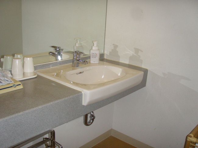 洗面所はこんな感じ。