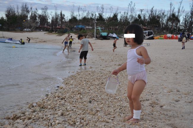 ビーチが見えちゃったら、行かないわけがない。<br />ホテルから中庭を通って、道を横断して、３分くらい？夕方５時半だというのに、まだ泳いでいる人がいた。結構涼しいよ。<br />チビも我慢できず、波に向かっていくので、思わずこの姿に・・・。<br />我が家恒例のペットボトルバケツを持参し、サンゴや貝殻を拾います。
