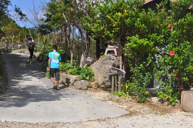 実は「カフェ　七色の風」に行きたかったのです。<br />やんばるみたいでいいなと思って。<br />確かに、やんばる？と思わせるような敷地内にありました。