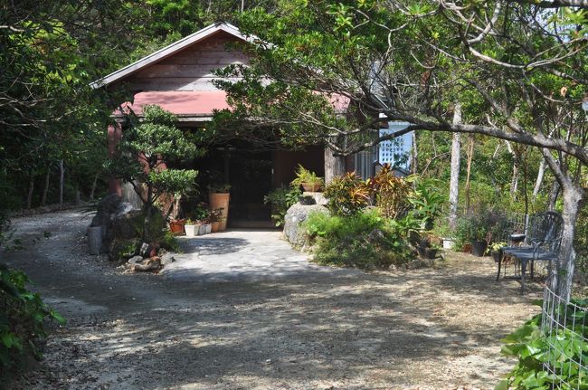 地元車ばかり。<br />そして、「今日は予約でいっぱいです。すみません」と言われ・・・。<br />えーん。電話してから来ればよかったよ。<br />人気店なんですね。<br />