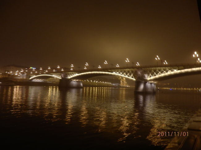 クルーズ船からの撮影は、船の速さや天候もあってなかなかよく撮れなかったので残念。