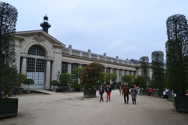 宮殿の敷地内に王立温室庭園があります♪<br /><br />ブリュッセル北部ラーケン地区にあるルイ16世様式の宮殿ラーケン王宮。ベルギー王室居住用のため一般公開されていませんが、同じ居住区内にある王宮温室は毎年春に数日間公開されます。<br /><br />レオポルド2世がアフリカをはじめ世界中から集めた植物が育てられ、毎年多くの人が訪れます。温室は建築物としての価値も高く、ヴィクトル・オルタの師であるアルフォンス・バラによる設計のアールヌーヴォー建築で、ガラスと鉄骨を贅沢に利用。別名「ガラスの宮殿」と呼ばれます。 <br /><br />う〜ん、ロマンチック♪