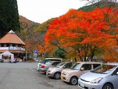 次に移動して原不動滝に行きました。
この写真は駐車場の紅葉です。
紅葉してとてもきれいです。