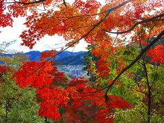 ここのモミジの紅葉はとても鮮やかです。
ここは、中国道の山崎ＩＣを下りてすぐの所にあるので結構アクセスが便利です。
ただ、標識もなく小さな路地を入っていきますので少し判りづらいです。(私も同じ所を3回まわってやっとたどりつきました。
この紅葉は25日くらいまでは大丈夫だと思います。