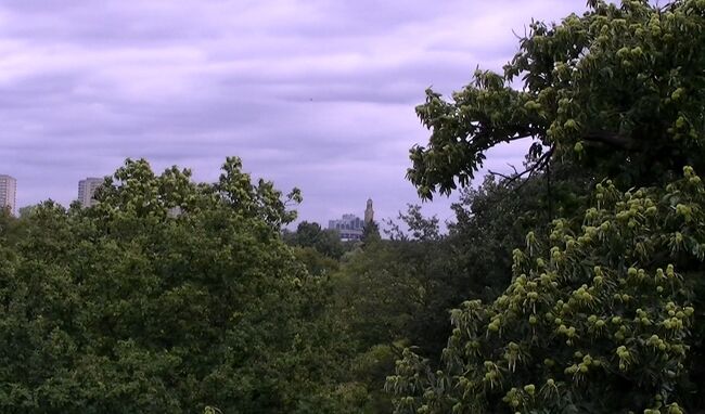 遠くに街並みが見えますが、周りは雑木林ですので、下に降りたら、<br />今どこなんだろうと、地図と睨めっこです。<br />