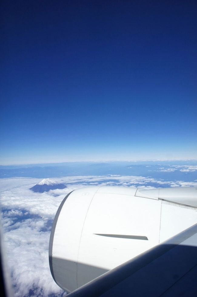 さて今年も飛んだ飛んだ〜と思ってたらJMBのサファイヤステータスまであとちょっとだけ足りないことが判明。<br />飛行機もたまたま空きがあったので、とりあえず沖縄に。<br />えぇ、もちろん日帰りですわ(笑)<br />右手には雲から富士山が顔をのぞかせていました。<br />あ〜たま〜を雲の上に出し〜♪