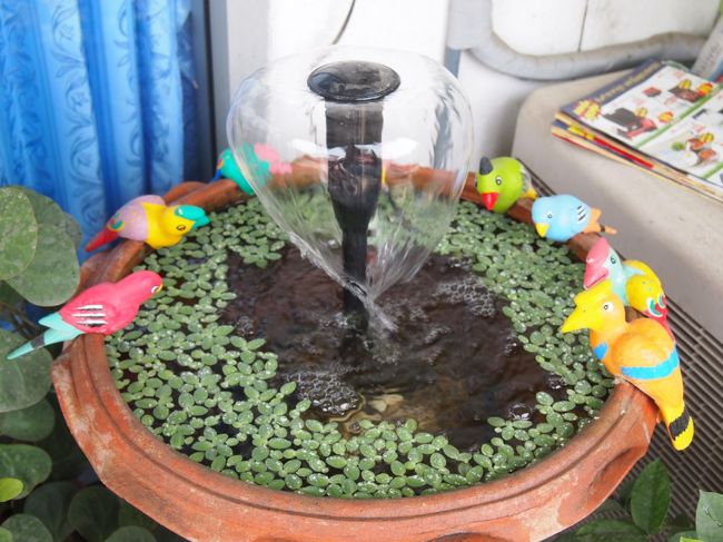 今日は空港の近くを散歩です。