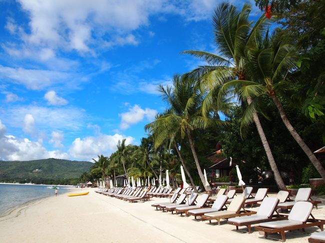 ビーチの写真が出てきませんでしたので、このあたりで登場。<br />朝のビーチなので人も少なく気持ちいい。<br /><br />チャウエンビーチも、昔に比べると幅が狭くなったようであります。