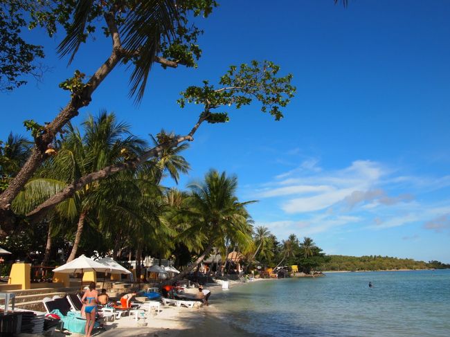 数年したら、ビーチが無くなってしまうエリアがあるかも。