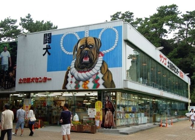オーダーメードの四国旅行 土佐の高知でお座敷遊び 高知市 高知県 の旅行記 ブログ By さくらいろさん フォートラベル