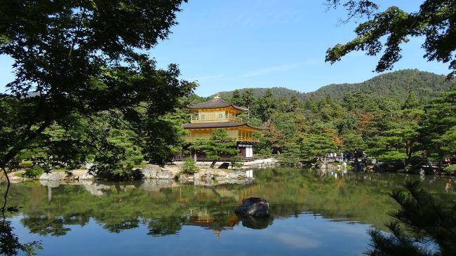 う*て様 【送料込み】レア 必勝金閣寺物語～古都絢爛～　コイン不要機付　ご自宅ま Amazon.co.jp: 限定金閣寺刻印入京都 金閣寺 鹿苑寺 開運招福