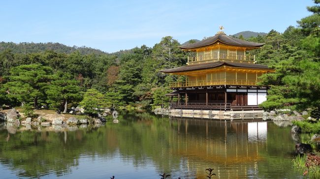 金閣の空に鳳凰の雲が ～ （金閣寺,仁和寺,龍安寺そして柚子屋