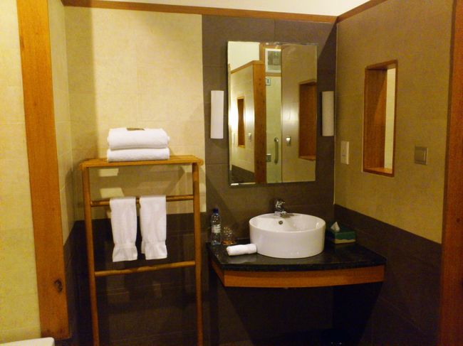 バスルームにある洗面所エリア。この洗面所が2つあります（向かい側にも）。