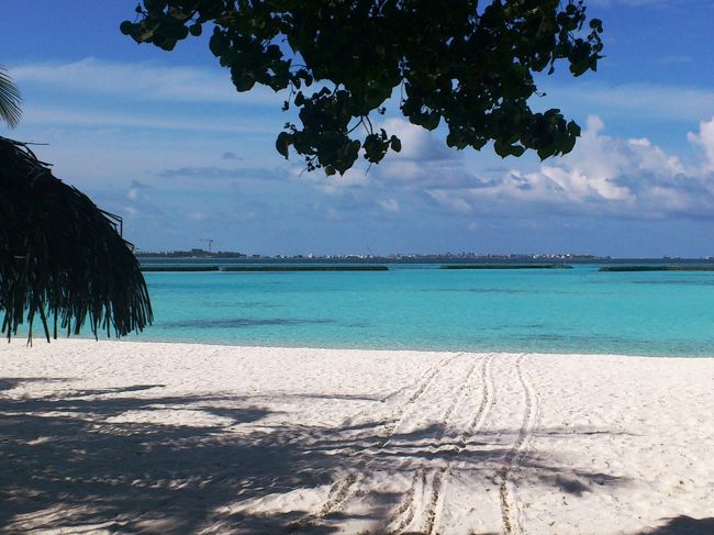 ホテルのビーチです。とは言っても、ホテル自体が島に一つしかないわけですから（モルディブは基本そうですね）・・・ビーチの一部ってことで。<br />ここは、マリンサービス・カウンターがある場所の横です。そのまま、桟橋につながっている場所でもあります。