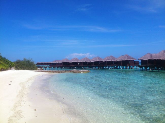 水上コテージへの桟橋のたもとからの写真です。<br /><br />最高に気持ちよいです！しあわせーーー♪