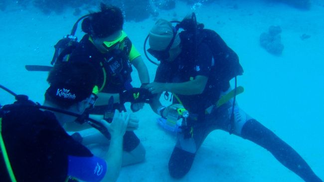 こちらは2日目。<br />ディープ・ライセンスを持っていない私のチェックを受けている様子です。<br /><br />ほんの5分程度でした。<br />私のほかにも1名、男性がいました。