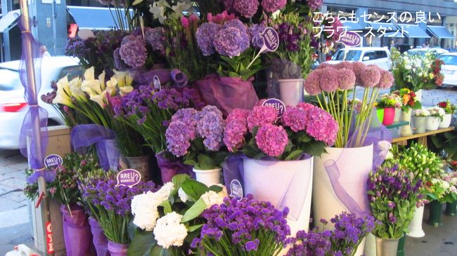 通りの花屋のスタンドに飾られた花々も、色が統一されていて、センスの良さを感じる。これで、ミラノの主だった観光を終え、ミラノ中央駅近くで夕食をとり、空港バスでミラノリナーテ空港へ向かう。翌日ミラノリナーテ空港からレンタカーを借りる予定のため、リナーテ空港近くにホテルを予約した。<br />この日の歩数13,234歩。