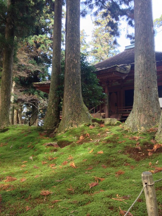 その手前の「にない堂」です。弁慶が両堂を担いだと言われている見たいですが、大きいからちょっと無理でしょう。