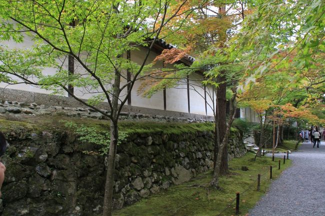  これを見てピンときた人は素晴らしいです。JR東海ポスターで使われている壁です