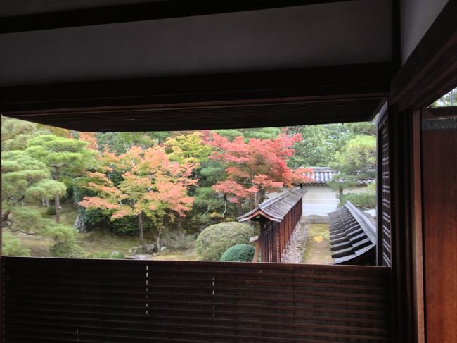 ちょっと紅葉。窓の向こうは紅葉