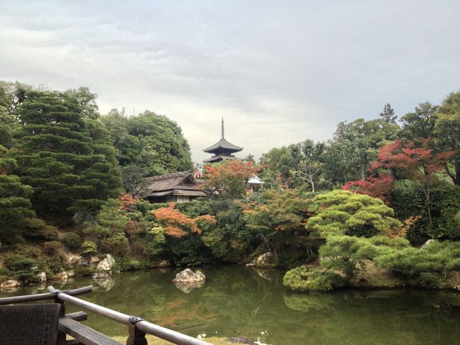 ここは庭が見事です。