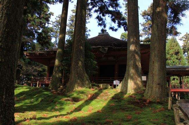 京都のお寺に多いのですが、ここも綺麗な苔です。