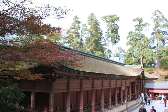 チケットの写真と同じアングル