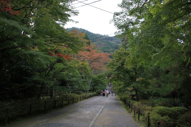 ここも赤かったら