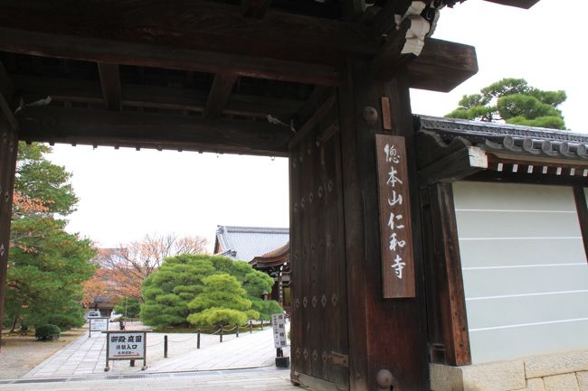 次のスポットは、仁和寺です。