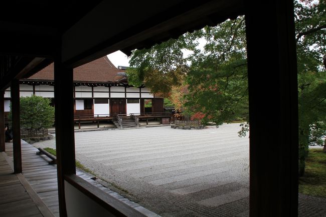 庭の石が整備されていていいです