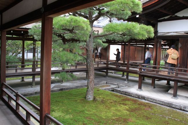 中庭も整備されているのです