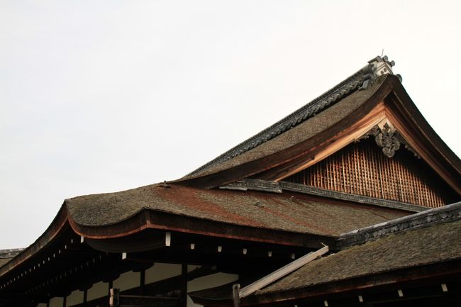 屋根もいいのです。