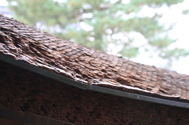屋根のアップ