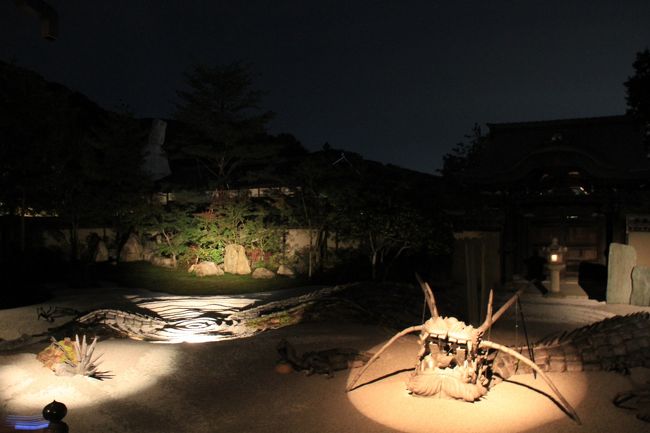 次は高台寺のライトアップです。龍が何とライトアップ