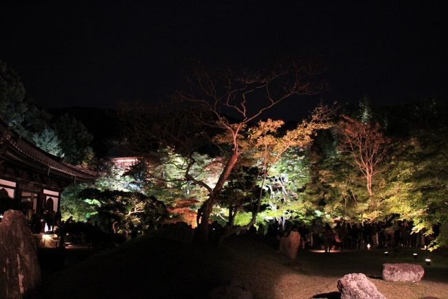 池に映った樹々が綺麗です