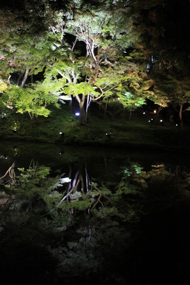 ということで、今回の京都の旅はおしまいです。紅葉の一歩手前でした。オンシーズンだとめちゃ混みなんでしょうね、行ってみたいですね。