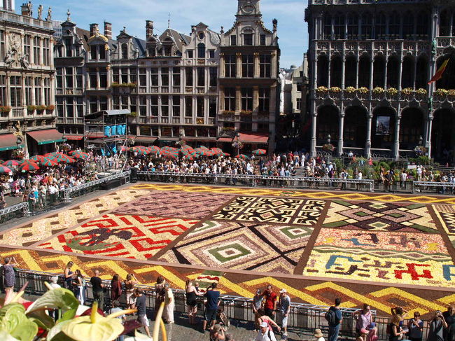 下からだと良くわかりませんが、上からみたフラワーカーペットはとても綺麗。