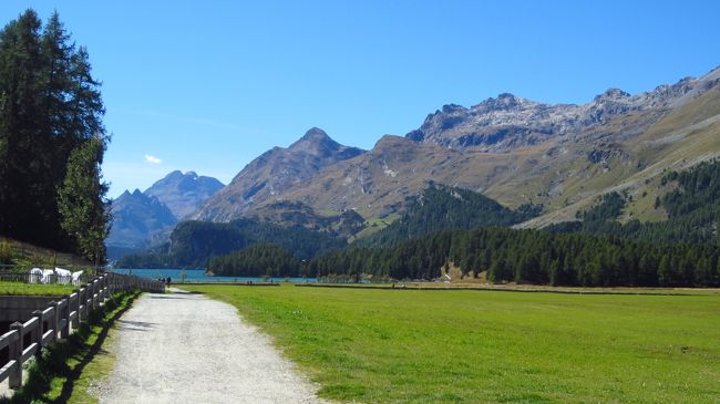 シルス村からシルス湖の方向を写す。秋の太陽に照らされ輝る湖面と牧草。
