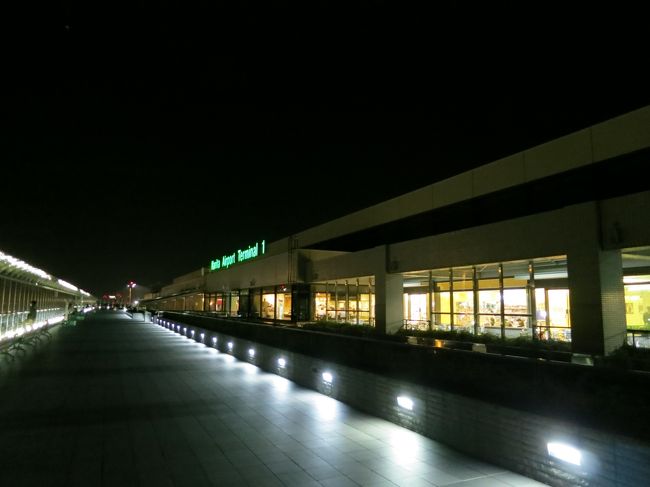 成田国際空港第1ターミナル　展望デッキ