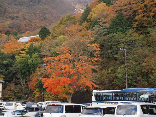 箱根ロープウェイからの紅葉 紅葉シーズンの日曜日の箱根は大混雑 ２０１２年１１月１８日 仙石原 神奈川県 の旅行記 ブログ By ふらっとちょっとさん フォートラベル