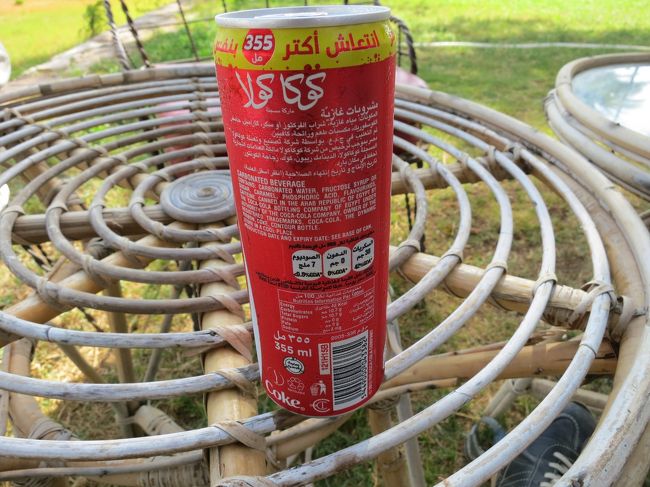 小休止<br /><br />コーラでも飲みましょう<br /><br /><br />5$<br /><br /><br /><br />5$？・・・≒400円？<br /><br />Wao