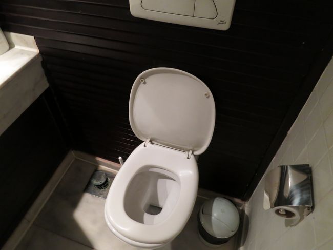 クルーズ船のトイレは普通